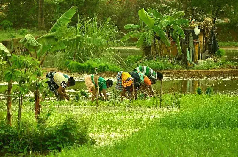 Ponda Farmers Fight Tourism Project Over Land Rights and Livelihood Fears