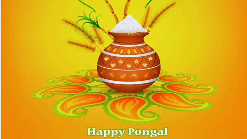 Pongal 2026: Celebrating Harvest, Gratitude and Traditions in South India