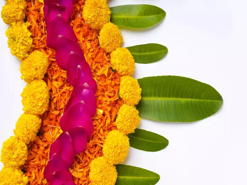 Pongal 2026: Celebrating Sun, Harvest & Tradition in Southern India