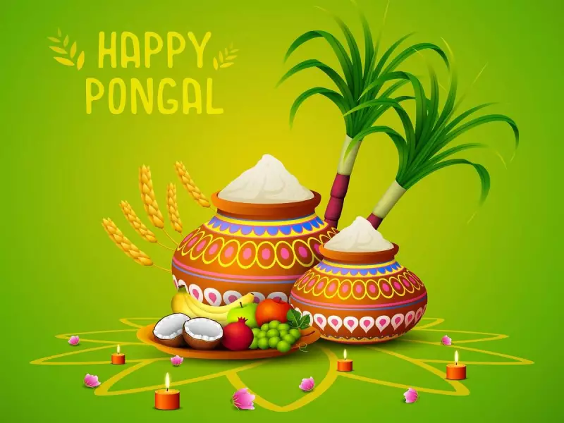 Pongal 2026: Celebrating the Harvest Festival with Joy and Tradition