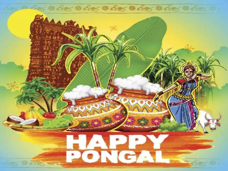 Pongal 2026: Celebrating the Harvest Festival with Traditions and Safety