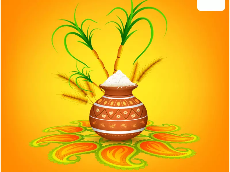 Pongal Festival 2024: Dates, Significance and Traditional Kolam Designs
