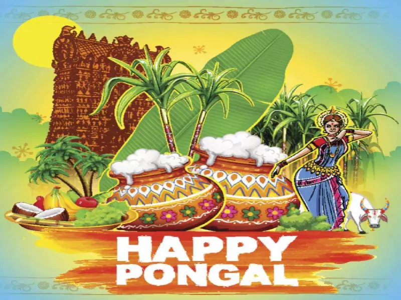 Pongal Festival 2026: Celebrating Harvest with Rituals, Legends & Sweet Pongal