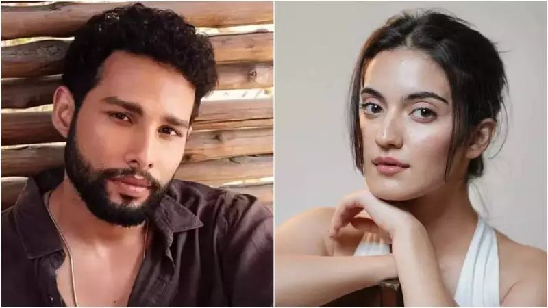 Pratibha Ranta, Siddhant Chaturvedi Deny Casting in Dear Comrade Remake