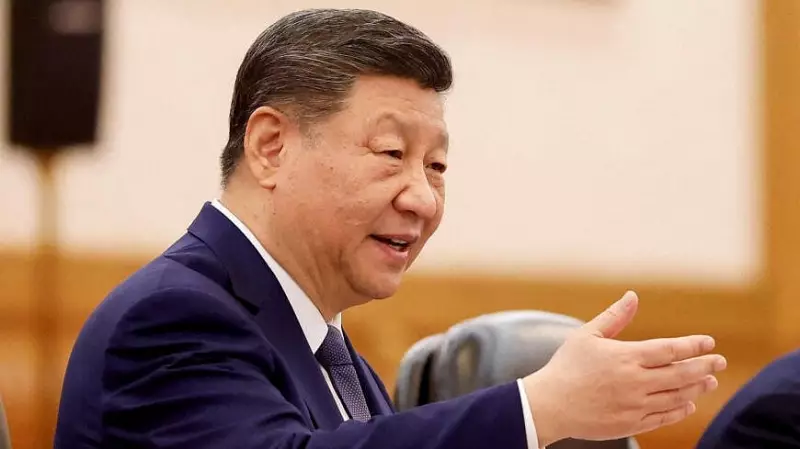 President Xi Jinping Calls India and China 'Friends and Partners'