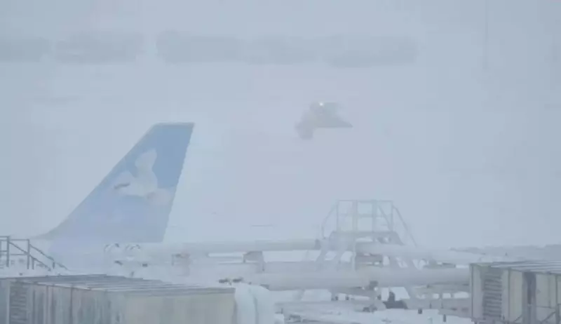 Private Jet Crashes During Takeoff at Maine Airport Amid Winter Storm, Eight On Board