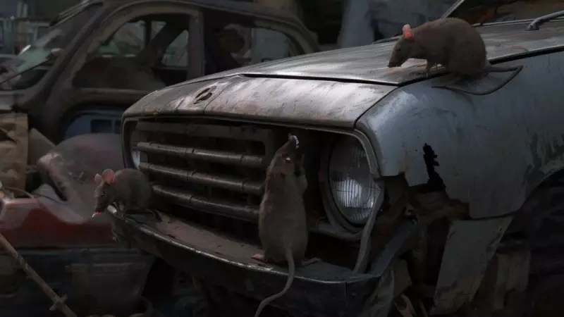 Protect Your Car from Rat Infestation: Prevention Tips and Damage Control