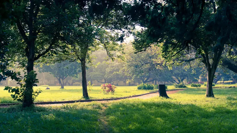 Public Parks Exclusion: How Limited Hours Deny Access to Workers, Women, Students