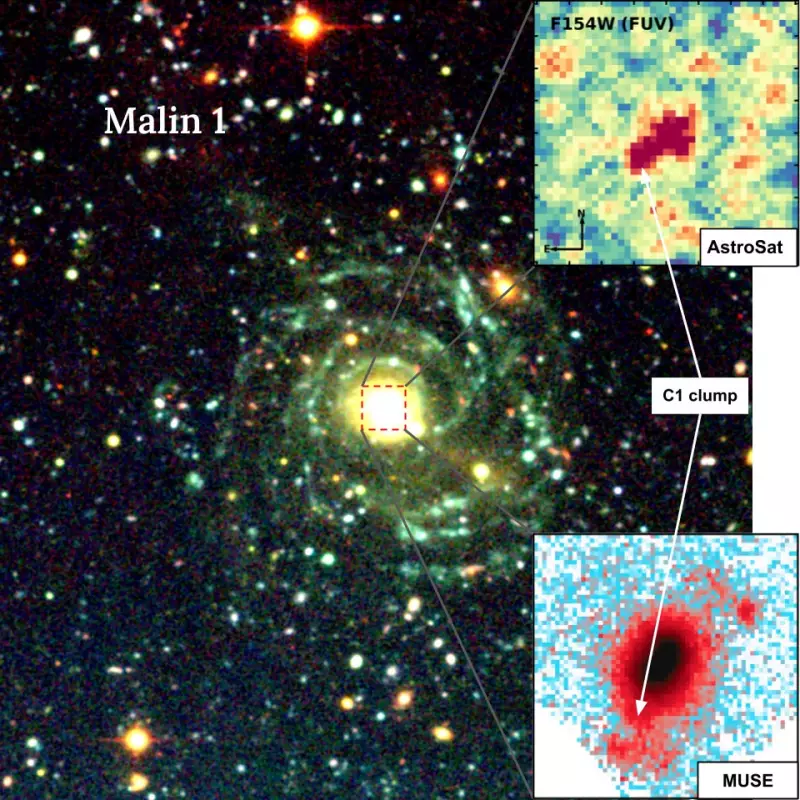 Pune Scientists Reveal Malin 1 Galaxy's Secret Cannibalistic Behavior