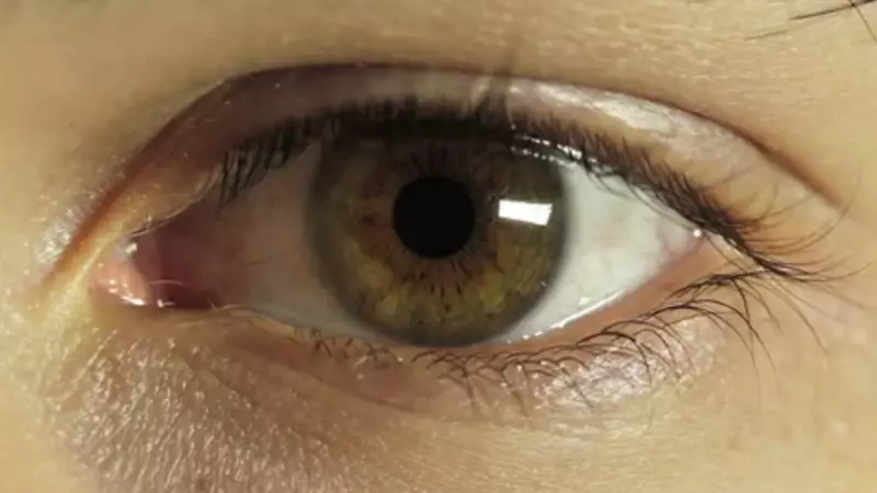 Pune Teen Carpenter's Eye Injury Highlights Workplace Safety Gaps