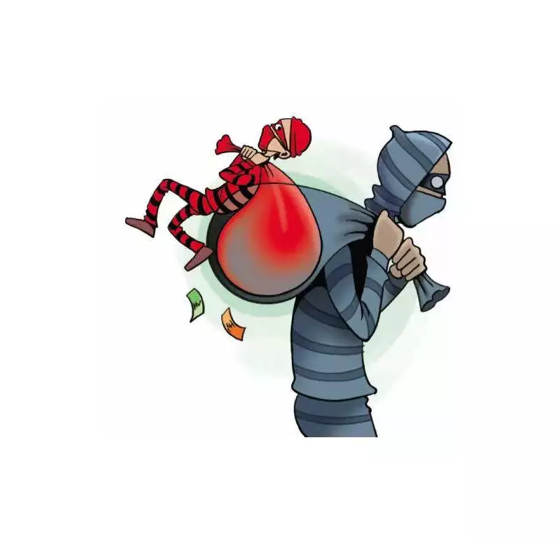 Pune Teen's Bizarre Plot: Masterminds Own House Robbery to Help Friend Pay Rent