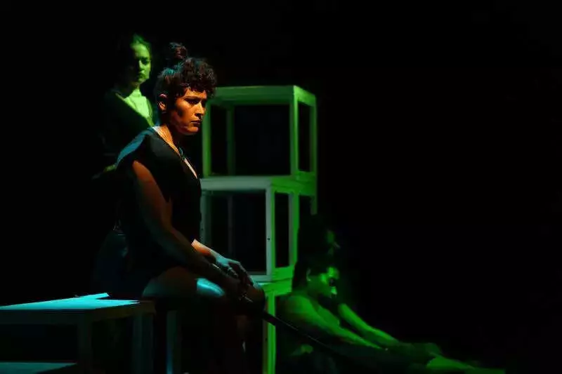 Pune's 'A Woman Or Not To Be' Reimagines Hamlet as Princess Hamlet