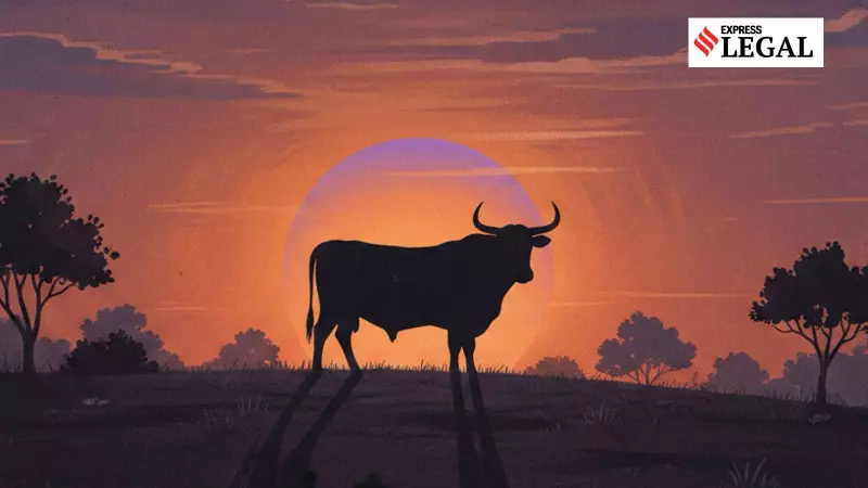 Punjab & Haryana HC Rejects 'Misled' Beef Sale Claim as 'Clever Ploy'