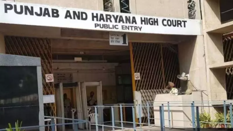 Punjab and Haryana HC Rejects Anticipatory Bail in POCSO Case, Says Minor's Consent Irrelevant