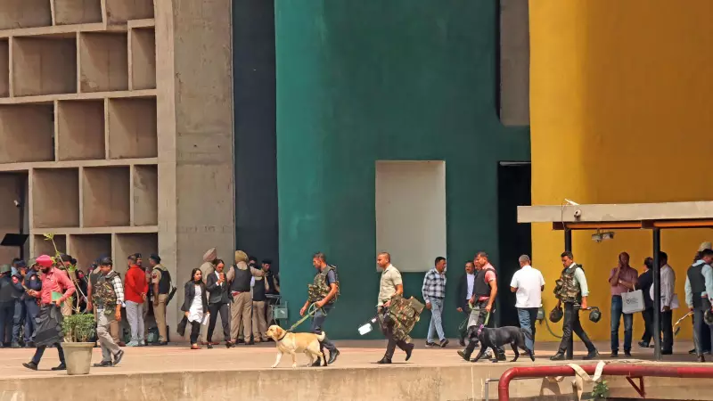 Punjab and Haryana High Court Weighs Tree-Felling Ban Amid Infrastructure Push