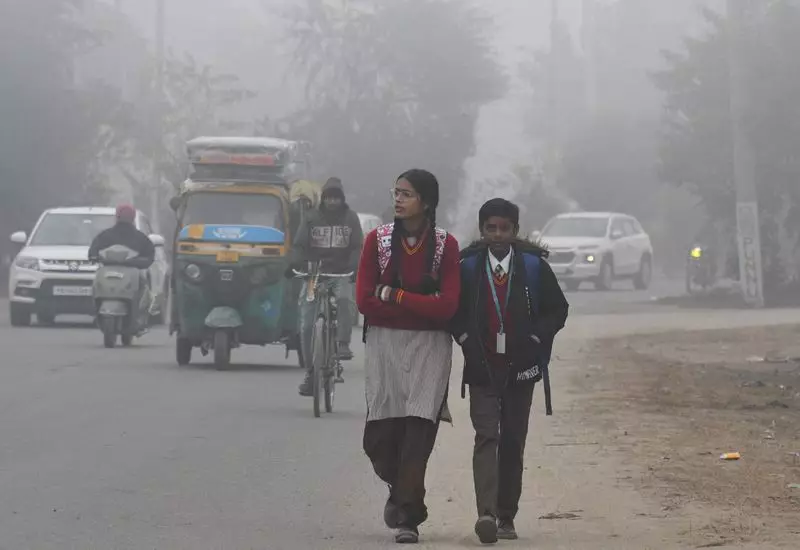 Punjab and Haryana See Slight Rise in Mercury Levels