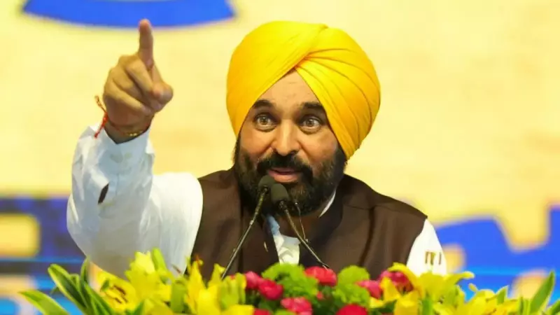 Punjab CM Bhagwant Mann Secures Key Border Fence Shift for Farmers After Meeting Amit Shah