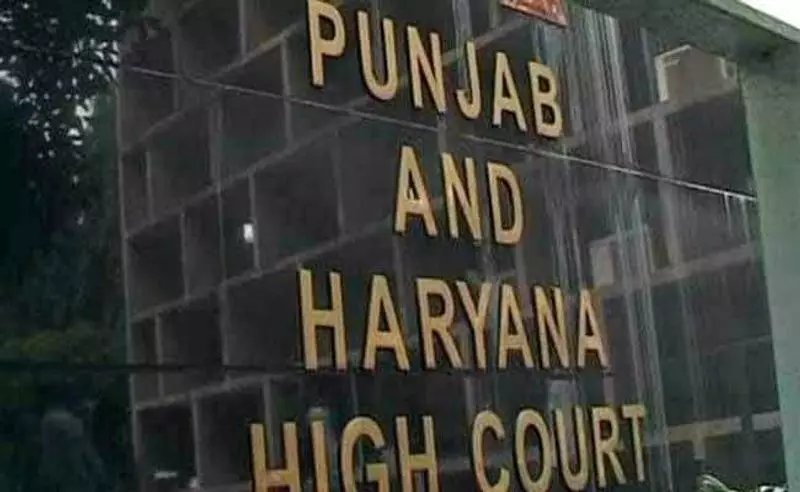 Punjab High Court Rules Old Building Laws Apply During Case Pendency