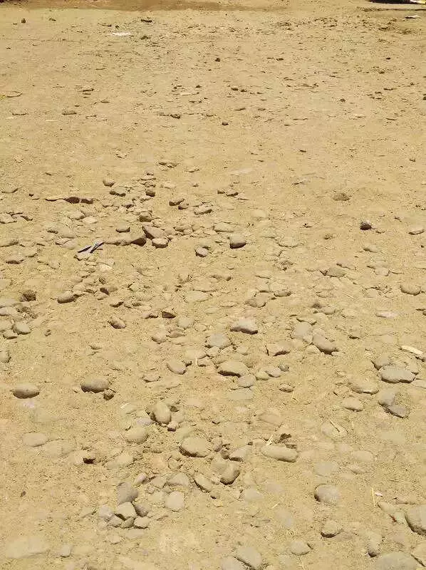 Punjab Orders Chargesheet Against Kharar Officials Over Failed Road Project