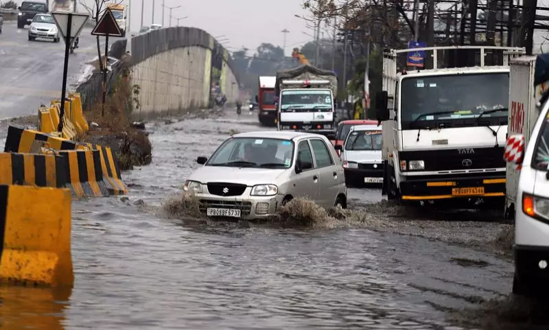 Punjab Receives Over Double Normal Rainfall, Haryana Deficit Turns Surplus Amid Cold Wave