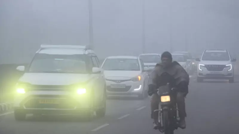 Punjab Schools Shift to 10 AM Start Amid Severe Cold Wave Conditions