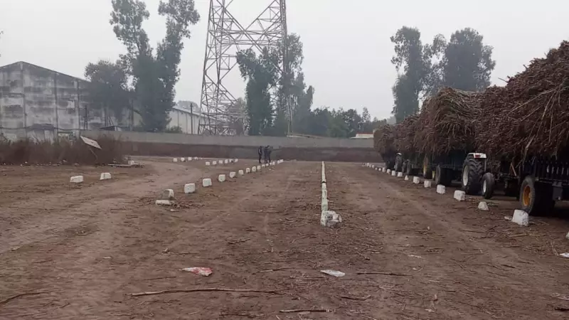 Punjab Sugar Mills Face Severe Cane Supply Crisis Due to Labour Shortage and Low Yields