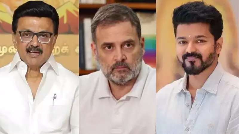 Rahul Gandhi Backs Vijay's Film, Sparks Tamil Nadu Alliance Speculation
