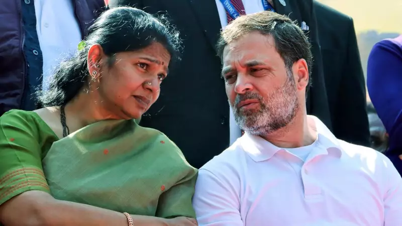 Rahul Gandhi-Kanimozhi Meeting: No Seat-Sharing Deal Yet for Tamil Nadu Polls