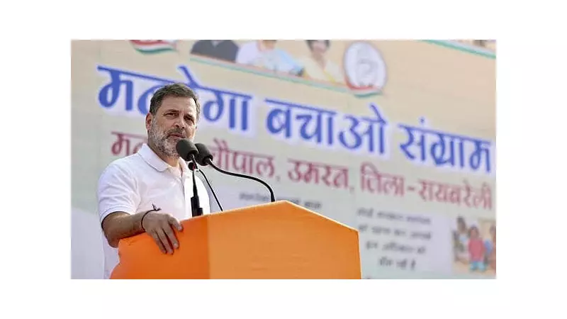 Rahul Gandhi Requests BCCI VP Rajiv Shukla for Cricket Academy in Raebareli