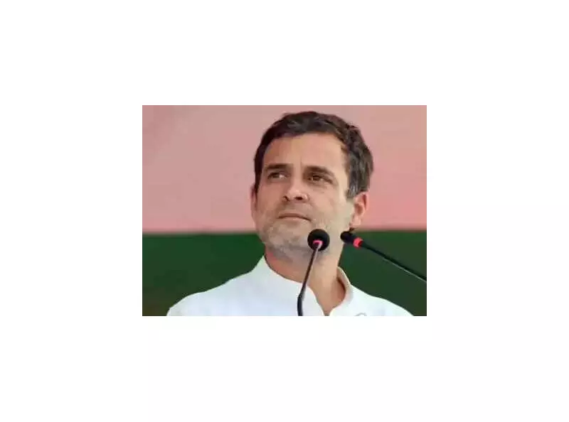 Rahul Gandhi to Attend Gudalur School Golden Jubilee on Jan 13, No Political Rallies Planned