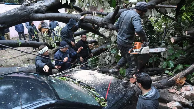 Rain and Hailstorm Batter Chandigarh Tricity, Disrupting Power and Water Supply
