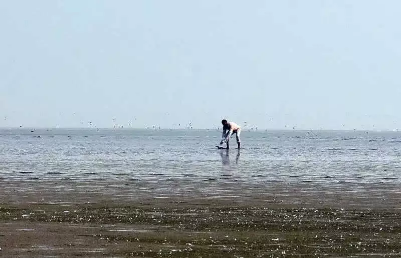 Rajasthan HC Initiates Contempt Against PSU Officials Over Sambhar Lake Solar Project