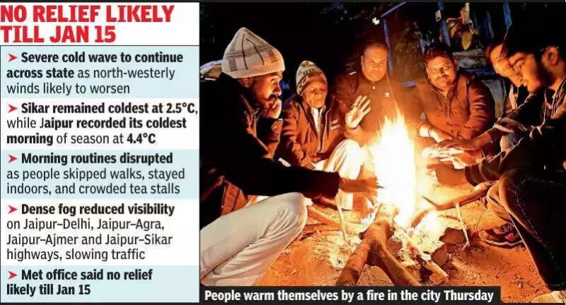 Rajasthan Shivers: Cold Wave Intensifies, Sikar at 2.5°C, Jaipur at 4.4°C