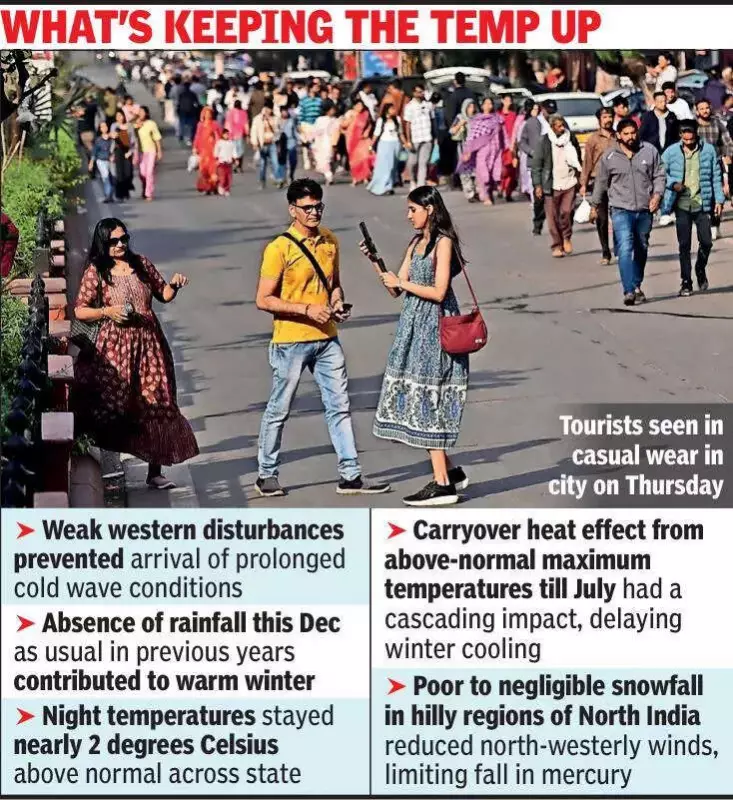 Rajasthan's Unusual Winter: Jaipur Sees Warmest Start to January in Years