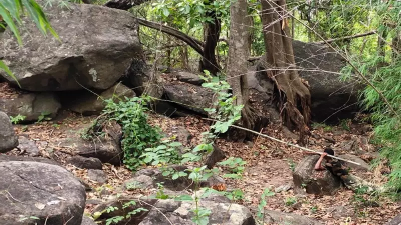 Rajouri: 4 Kg IED Neutralised in Forest, Army & Police Thwart Major Terror Plot