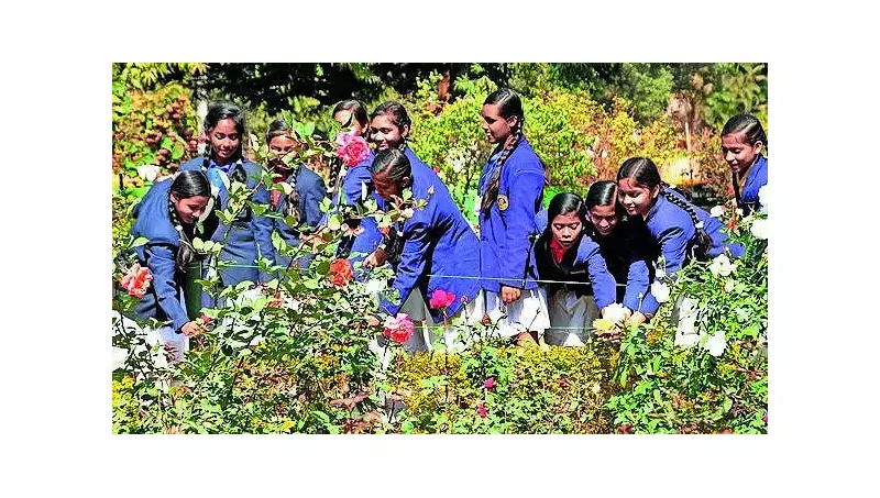 Ranchi's First State Flower Show Blooms with 200+ Varieties at Oxygen Park