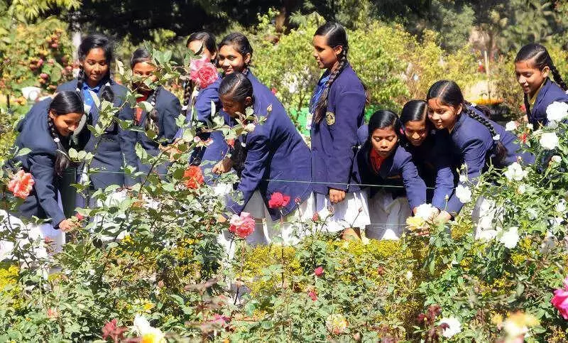 Ranchi's Oxygen Park to Host Two-Day Flower Show and Organic Exhibition
