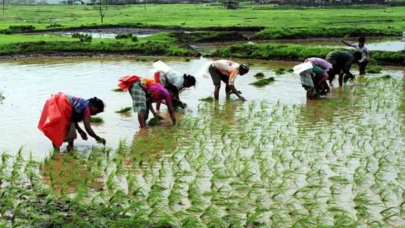 Rationalizing Agri Subsidies Key to Modi's Reform Express Success
