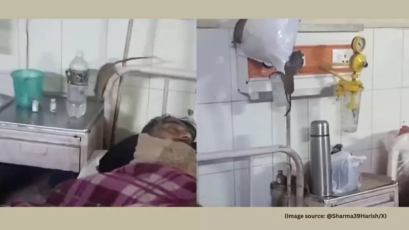 Rats on Oxygen Pipes at UP's Gonda Medical College Spark Outrage Over Hygiene