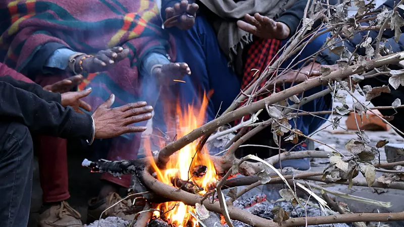 Red Alert Persists in Punjab, Haryana as Severe Cold Wave Intensifies