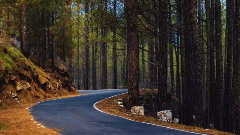 Republic Day 2026 Long Weekend: Top 8 Getaways from Delhi-NCR