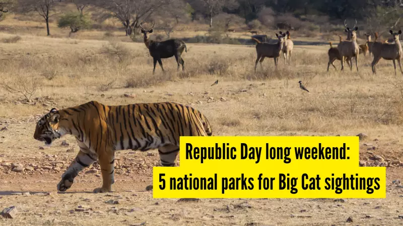 Republic Day Weekend: Top 5 National Parks for Big Cat Sightings in India
