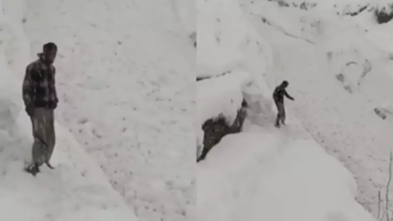 River of Snow Flows Through Himachal's Chamba Village, Video Goes Viral