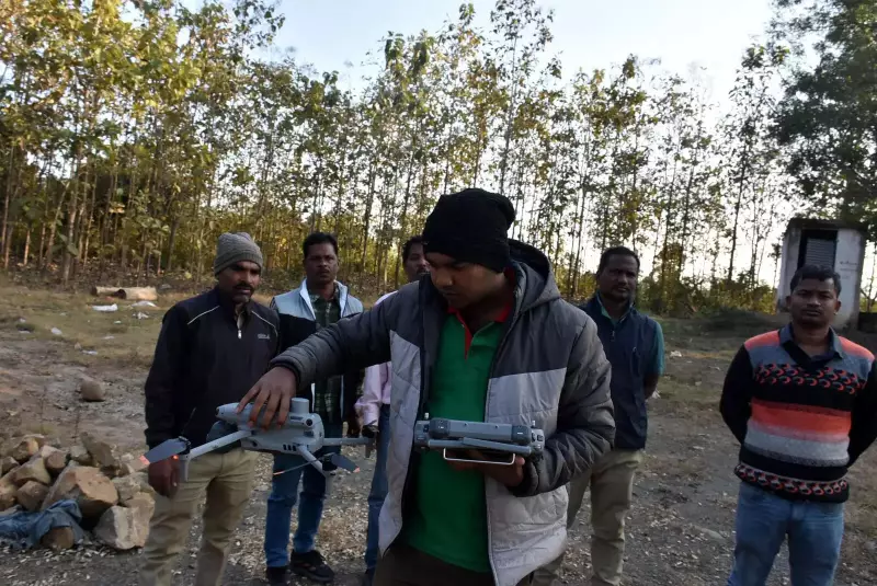 Rogue Elephant Kills 20 in Jharkhand, Sparks Panic as It Crosses into Odisha