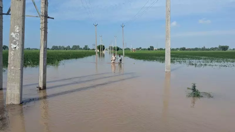Rohtak Panchayats Face Dues Ultimatum for Flood Relief Pump Rentals