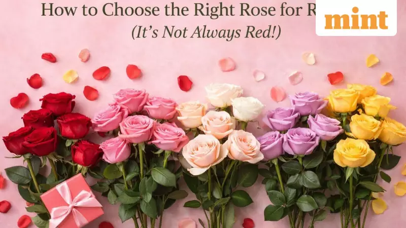 Rose Day Guide: Choose the Perfect Rose Color to Express Your True Feelings