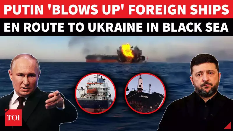 Russia Strikes 2 Civilian Ships in Black Sea, Killing Crew Member