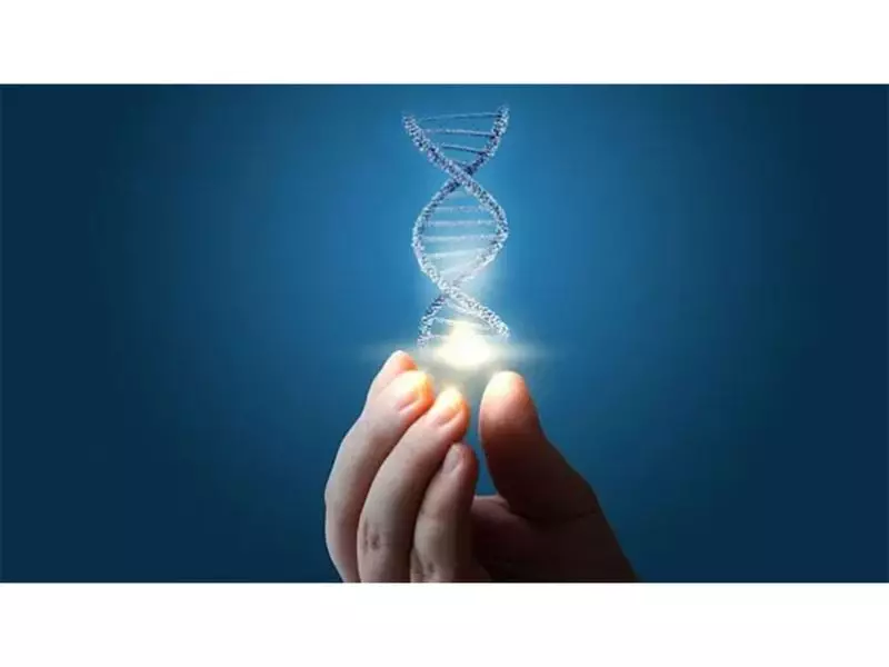 Russian Scientists Create DNA Sensor to Measure Antioxidant Protection in Drinks