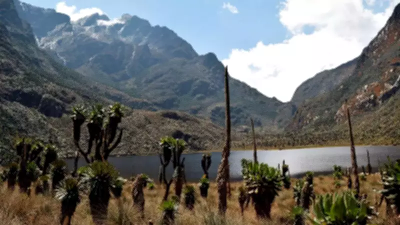 Rwenzori Mountains: Africa's Shrinking Glaciers and Natural Treasures