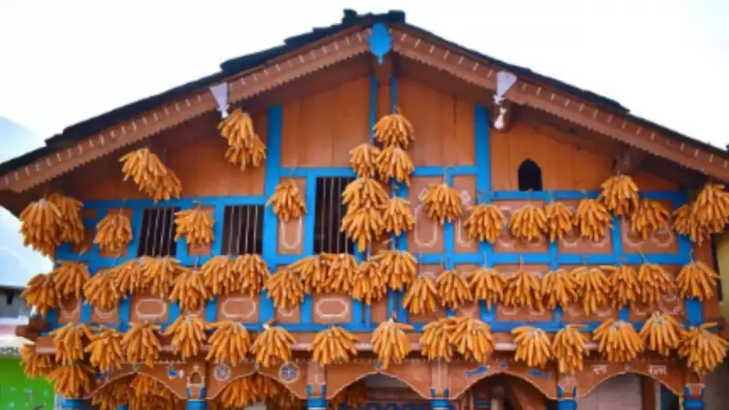 Sainji: Uttarakhand's Corn Village Where Tradition Paints the Himalayas Gold